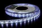 HQS-5050-60LED-19.2W-RGBW-WP (4).JPG