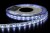 HQS-5050-60LED-19.2W-RGBW-WP (4).JPG