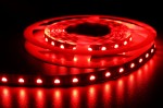 HQS-5050-60LED-19.2W-RGBW (1).JPG