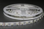 HQS-5050-60LED-19.2W-RGBW.JPG