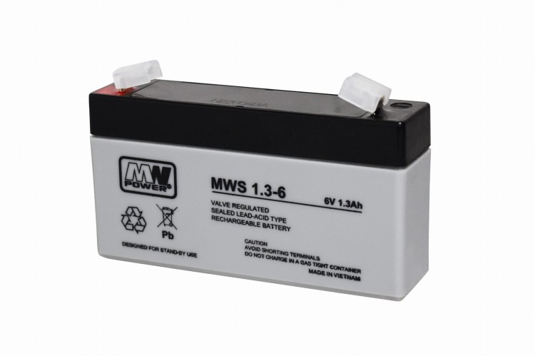 MWS 1.3-6.JPG